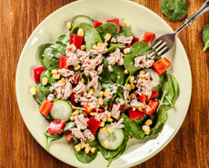 Thunfisch-Salat mit Kichererbsen